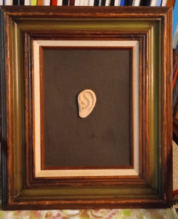 Vincent's Ear 1