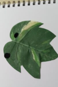 leaf2